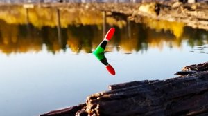 ВЕДРО КАРАСЯ ЗА 2 ЧАСА! ТУТ ЕГО ХОТЬ РУКАМИ ЛОВИ! Рыбалка на удочку в пересыхающей луже