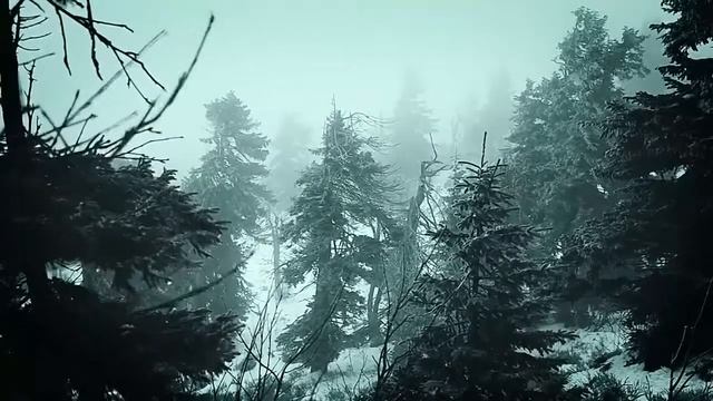 Maryla Rodowicz - Jeszcze Zima Słowa Agnieszka Osiecka смотреть онлайн