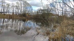 КАК ЛОВИТЬ РОТАНА ВЕСНОЙ? рыбалка весна 2024