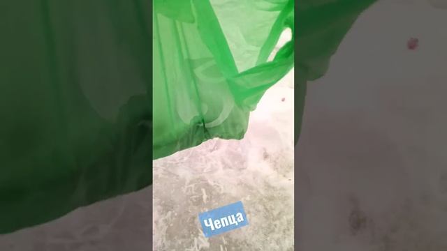 р.Чепца рыбачим смотреть онлайн