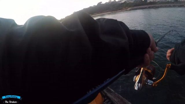 The HUNT for the KRAKEN/MASSIVE SQUID смотреть онлайн
