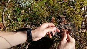 НАБОР ДЛЯ ВЫЖИВАНИЯ. СПАСЁТ ЛИ ОН ВАМ ЖИЗНЬ !?