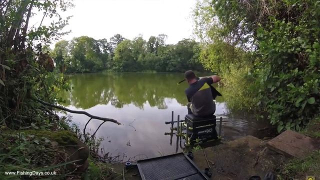 LIVE Match Fishing TOP 5 Best Matches! Match Fishing Tips And Tactics