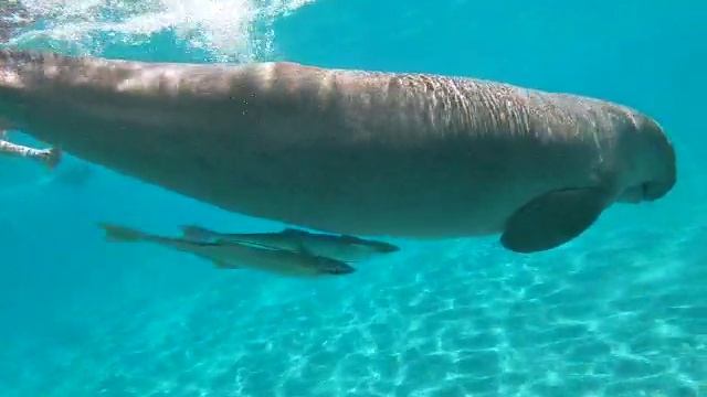 1000001360.mp4 смотреть онлайн