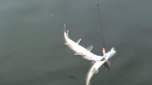 fishing смотреть онлайн