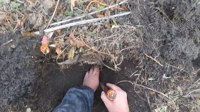 Equinox 700 , складень , Coiltek 15