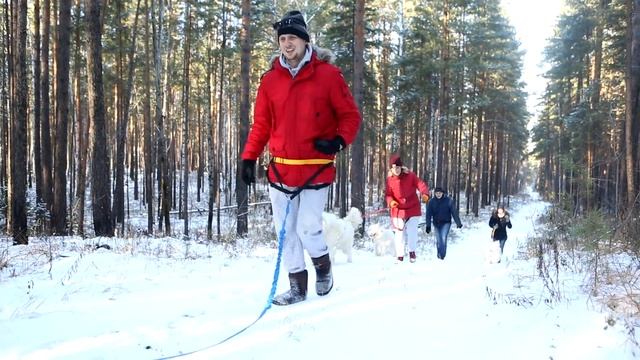 Догтрекинг - здоровье и хорошее настроение смотреть онлайн