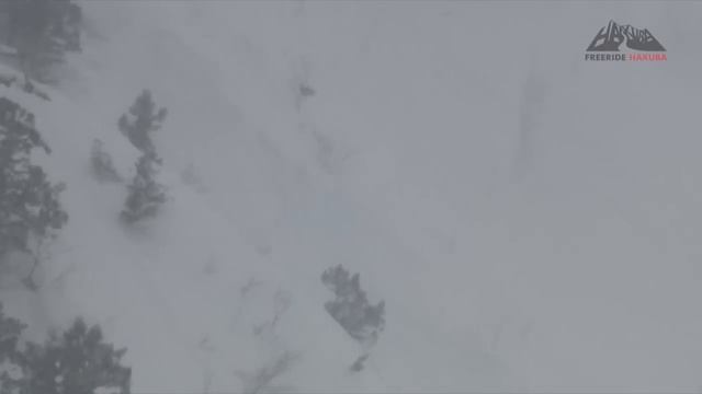 Hakuba Freeride - победный проезд смотреть онлайн