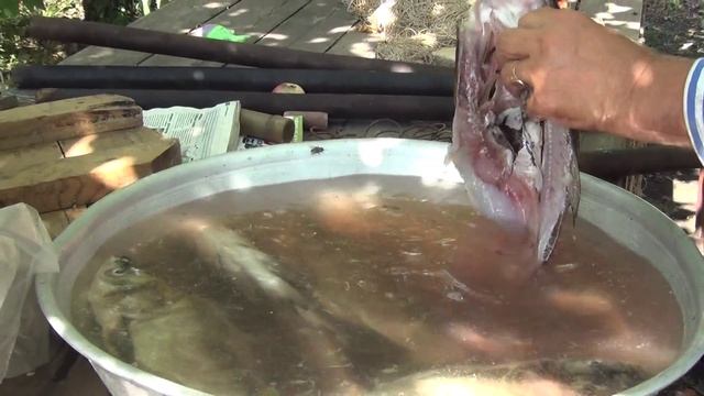 Горячее копчение рыбы,толстолобика.Коптильня собственными руками .Рыба из собственного пруда. смотреть онлайн