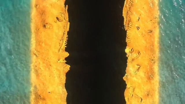 Introducing HDS PRO With New Active Imaging HD & ActiveTarget 2