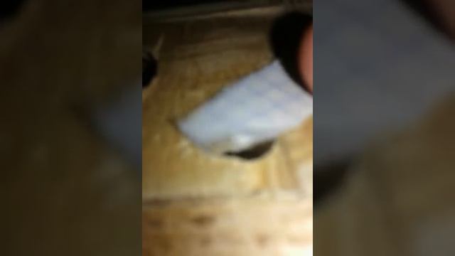 Бас тест мини саба смотреть онлайн