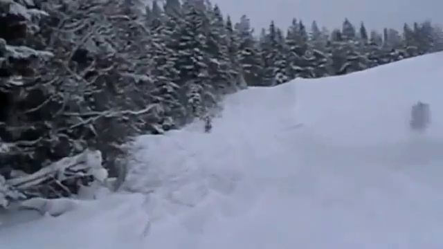 Dr.Zipe смотреть онлайн