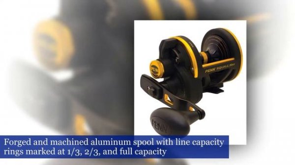 Penn Squall Lever Drag Reel