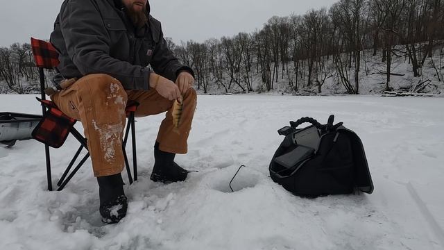 Ice Fishing With Garmin Echomap Plus 93sv смотреть онлайн