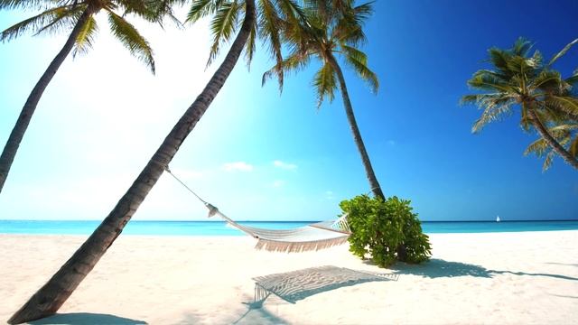 Avicii - Levels (Andries' Mashup) смотреть онлайн