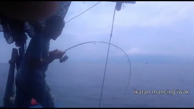 Badong babon 5kg vs Daiwa RX LT 2000 смотреть онлайн