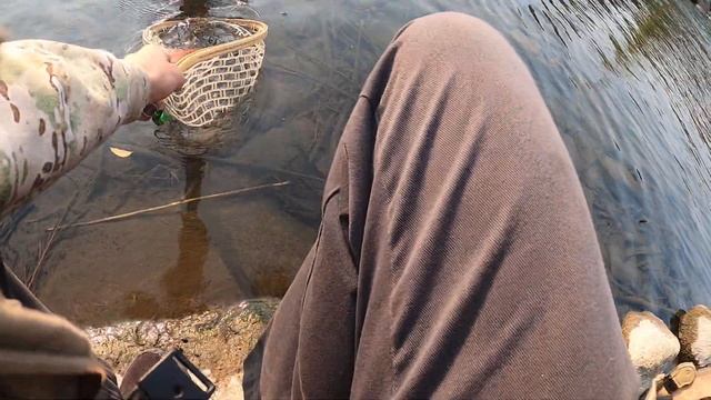 Truckee River spin fishing for rainbow trout смотреть онлайн