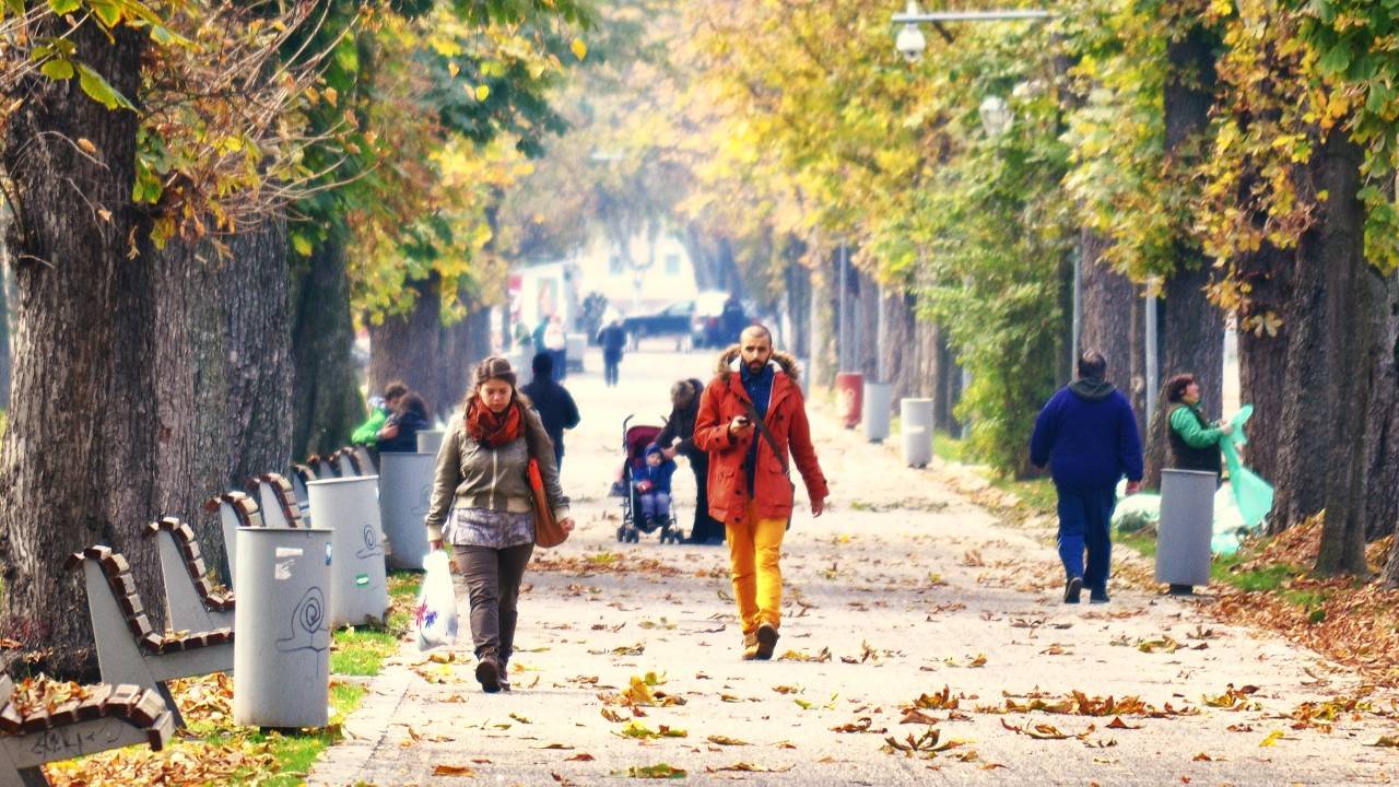 Пять важных изменений в октябре 2024 года: разбираем новые законы смотреть онлайн