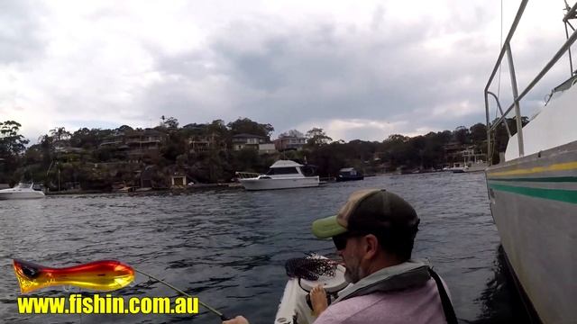 fishin.com.au - King Fish Surface Strike on a Popper смотреть онлайн