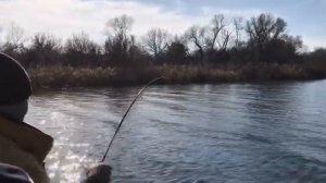 18+Ловля Осенью 2019 на Пулю!Ловил окуня а поймал....