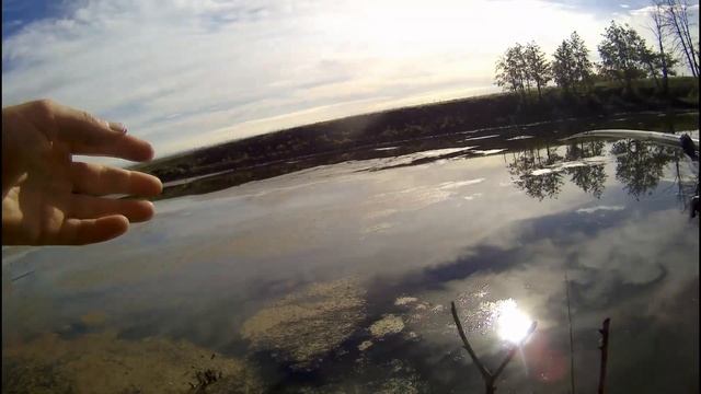 РЫБАЛКА НА ПОПЛАВОК В КОНЦЕ СЕНТЯБРЯ 2022! смотреть онлайн