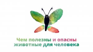 24. Чем полезны и опасны животные для человека