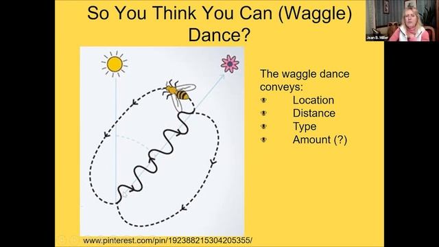 Inside the Hive - Honeybees and Beekeeping in New Jersey смотреть онлайн
