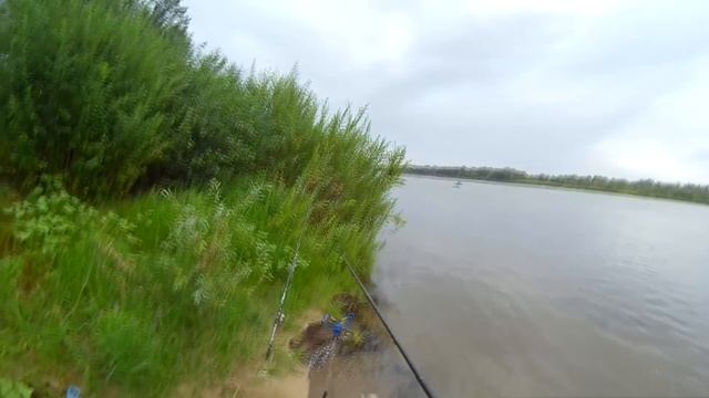 Feeder'in acı intikamı-HD смотреть онлайн