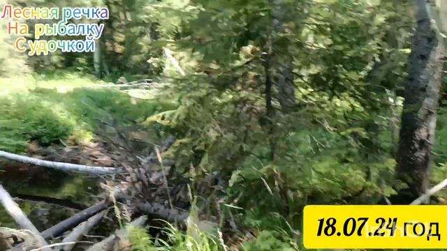 На рыбалку на красивую лесную речку с поплавочной удочкой. Малые реки. Поймал -отпусти. смотреть онлайн