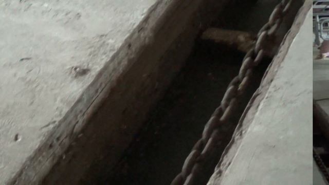 Свиноматки и хряк дюрок.F1.Свиноводство.КФХ Горбунов,реконструкция свинарника. смотреть онлайн