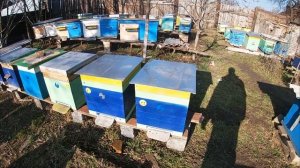 Как сделать теплую поилку для пчел?