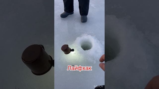 НОВОГОДНЯЯ ФОРЕЛЬ 2024 смотреть онлайн