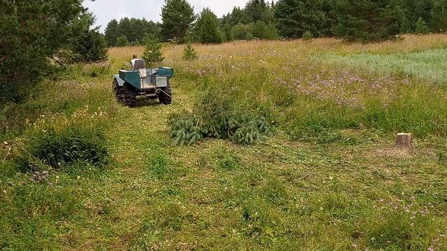 подготовка к сезону!!!