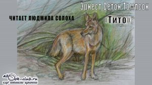 Эрнест Сетон Томпсон «Тито» (рассказ)