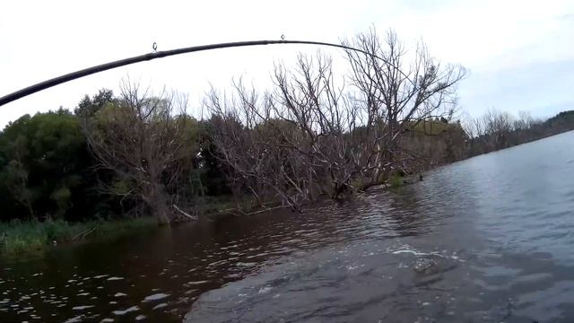 Nories LAYDOWN MINNOW MID 110 F смотреть онлайн