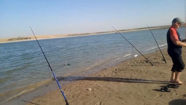 Чимкент . Водохранилище, рыбалко. Клюнуло лещ. смотреть онлайн