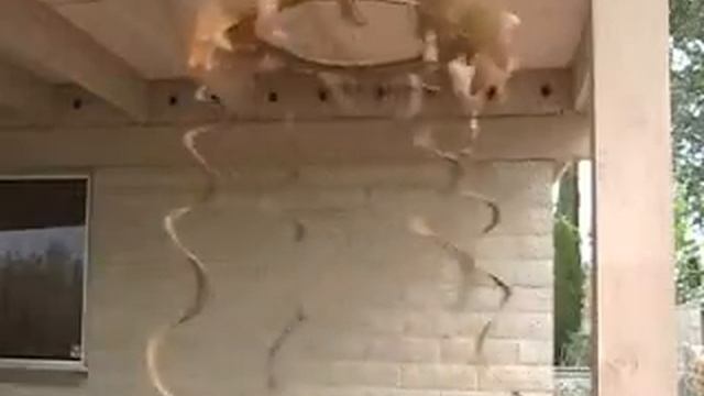 Hanging Spiral Celestial Wind Dancer Kinetic Wind Sculpture with Spinning Tassles смотреть онлайн