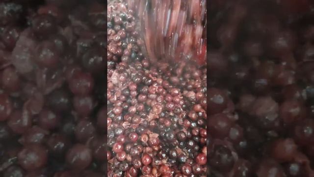 Fly Fishing Fantasies