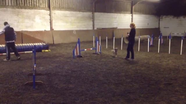 Jo Training 4 смотреть онлайн