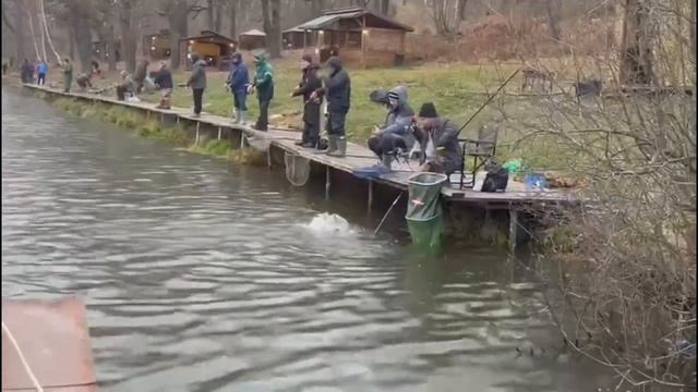 Поимки Основной водоем смотреть онлайн