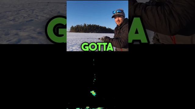Is there a better chase than a lake trout!? смотреть онлайн