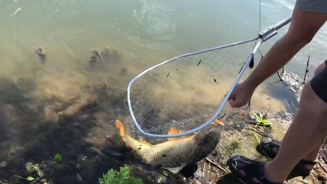 22 июля 2021 г. смотреть онлайн