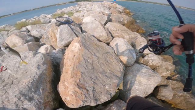 Relaxing Morning Fishing Session | Χαλαρό Πρωινό Ψάρεμα | LRF Ψάρεμα