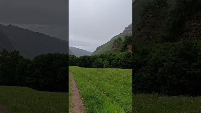 #fishing #экскурсия #рыбалка #отдых #trout #горы # форель смотреть онлайн