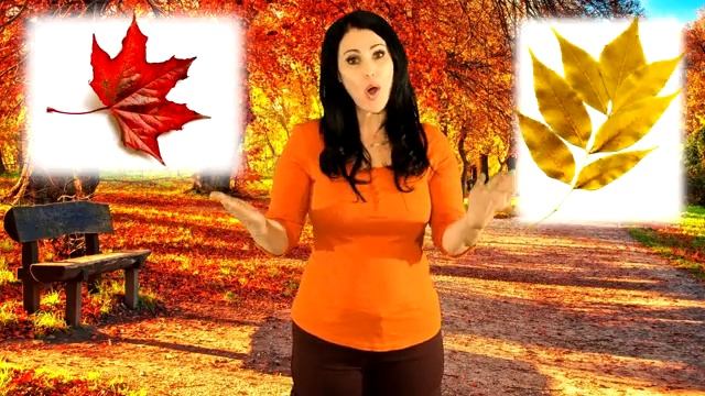 Autumn Leaves are Falling Down смотреть онлайн