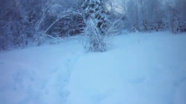 Город Нягань Зима УДАЛАСЬ!!! Люди!!! смотреть онлайн