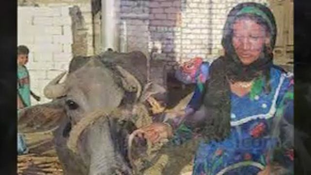 the egyptian peasant смотреть онлайн