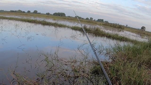 Daiwa Zillion SV TW 2021 VS Daiwa Blazon 2021