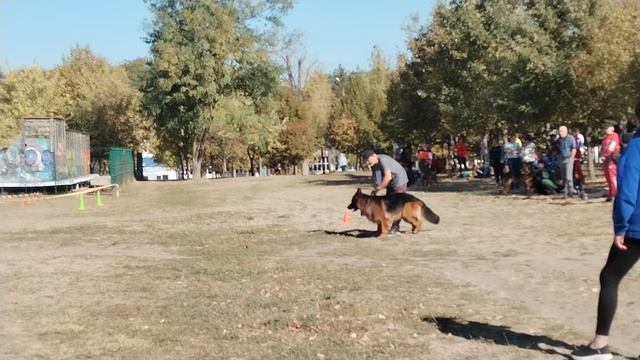 Леруа Мадлен МАЙБАХ ++- №34