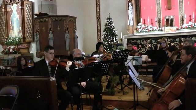 Camerata Alla Rustica plays Vivaldi's Concerto for Two Violins in D minor смотреть онлайн